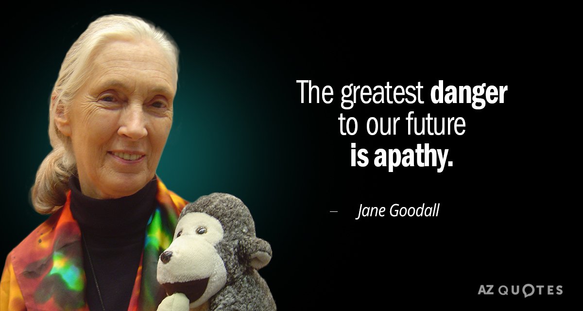 Cita de Jane Goodall: El mayor peligro para nuestro futuro es la apatía.