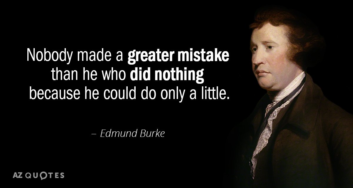 Cita de Edmund Burke: Nadie cometió mayor error que el que no hizo nada porque podía...