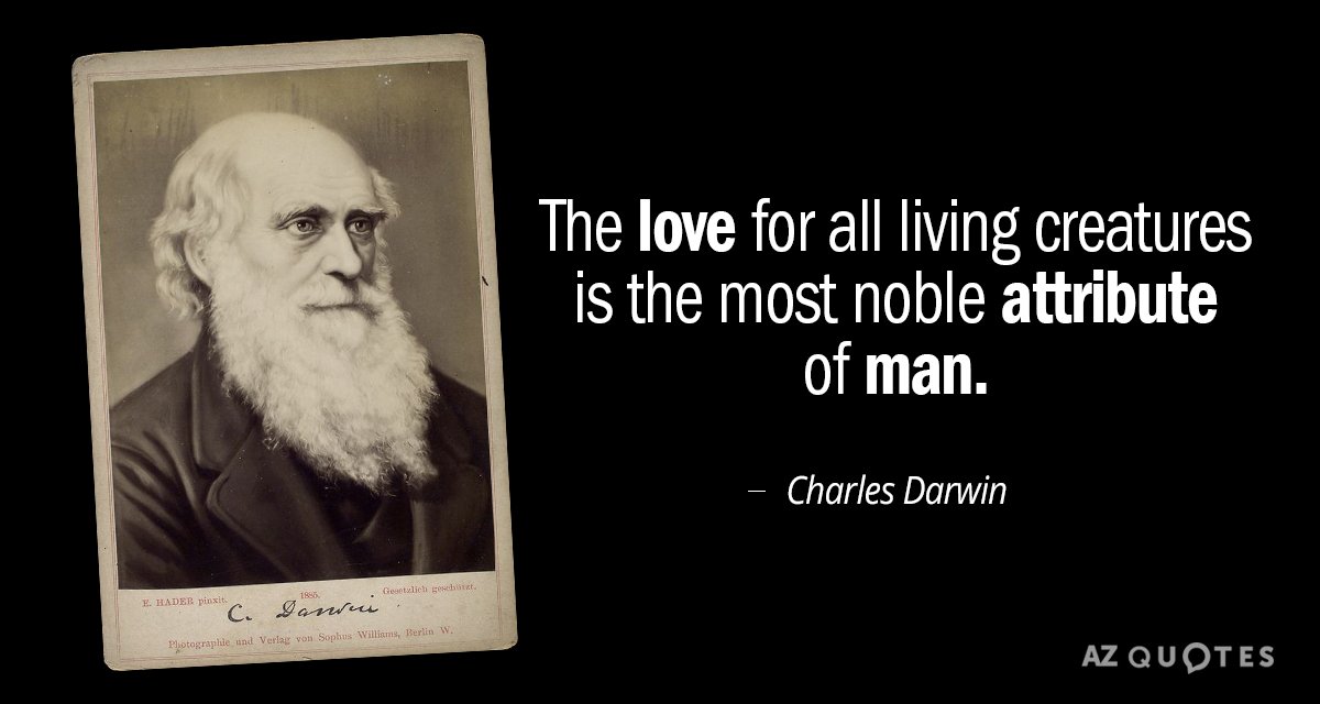 Cita de Charles Darwin: El amor por todos los seres vivos es el atributo más noble del hombre.