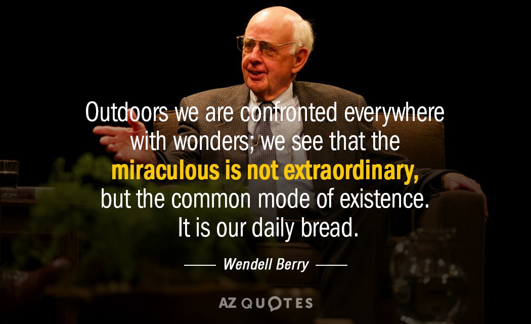 Cita de Wendell Berry: Al aire libre nos enfrentamos en todas partes con maravillas; vemos que lo milagroso es...